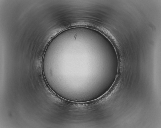 X0000111920937200908031201