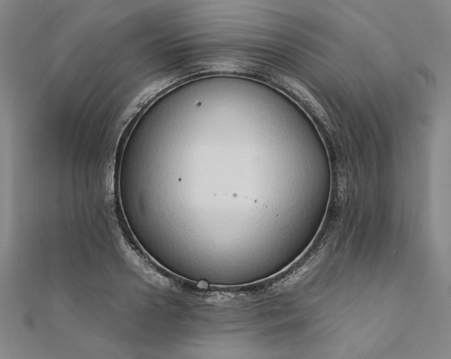 X0000111920938200908031201