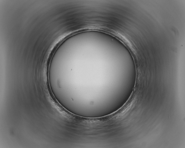 X0000111920939200908031201