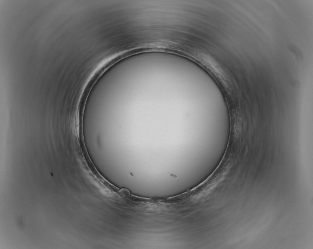 X0000111920940200908031201