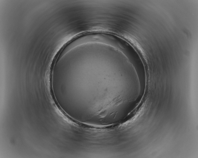 X0000111920941200908031201