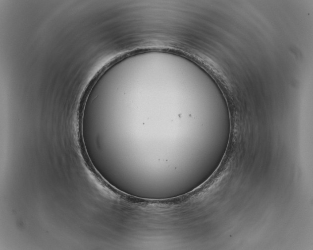 X0000111920942200908031201