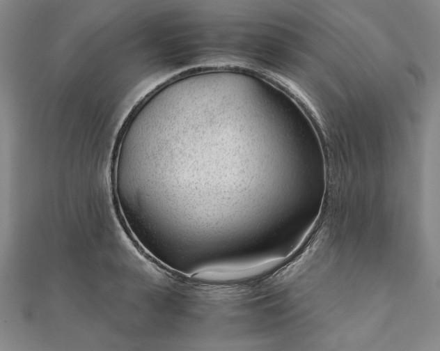 X0000111920943200908031201