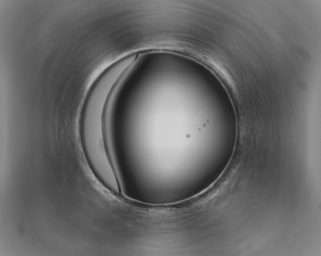 X0000111920944200908031201