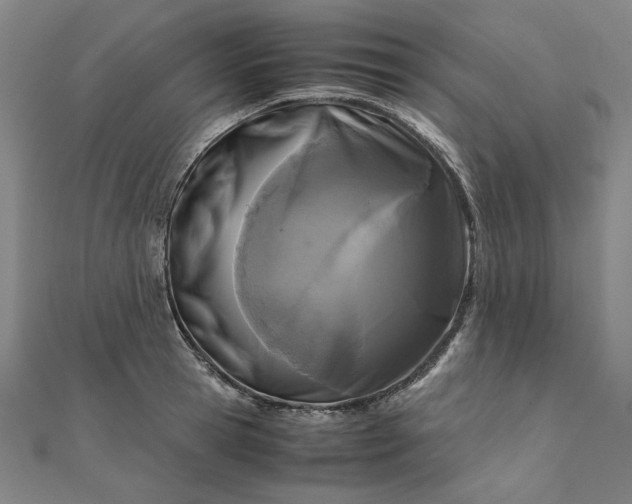 X0000111920945200908031201