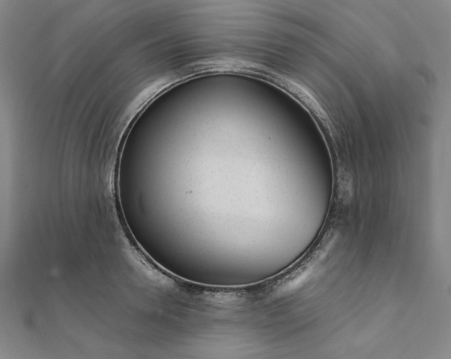 X0000111920946200908031201