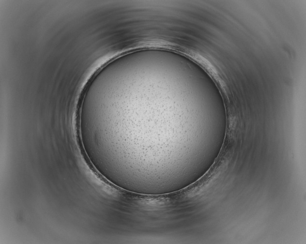 X0000111920947200908031201