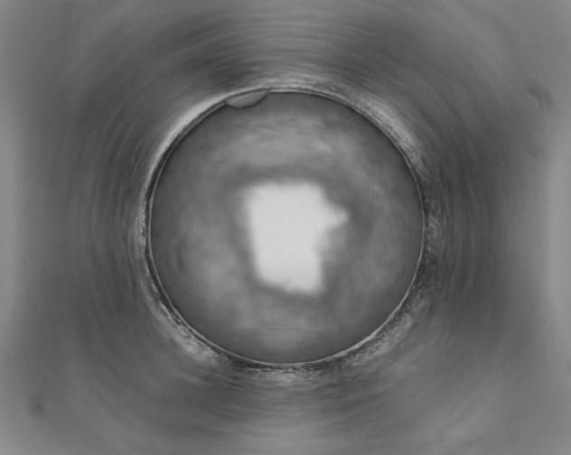 X0000111920948200908031201