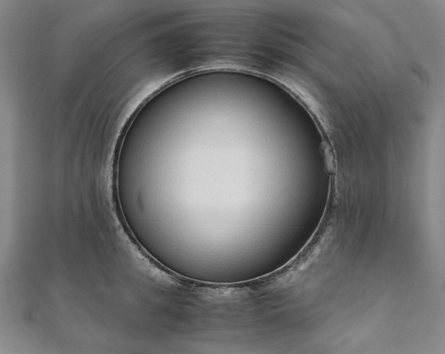 X0000111920949200908031201