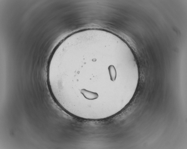 X0000111920950200908031202