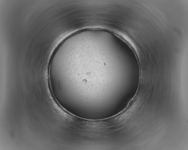 X0000111920951200908031202