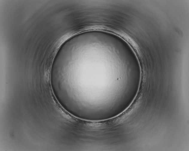 X0000111920953200908031202