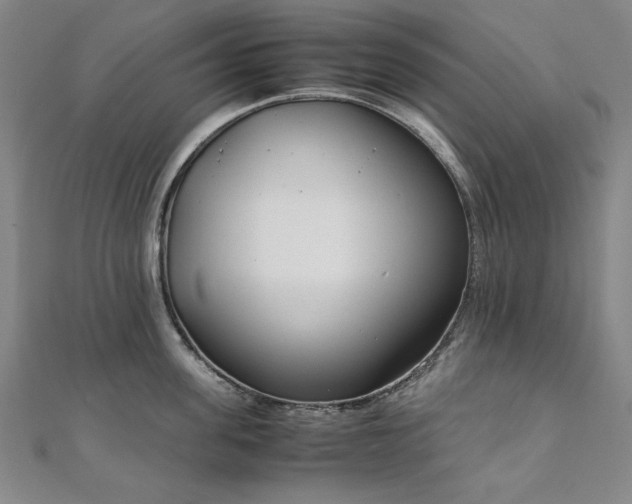 X0000111920955200908031202