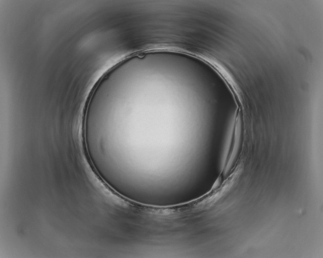 X0000111920957200908031202