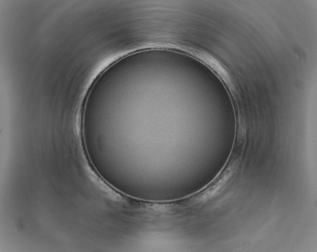 X0000111920958200908031202