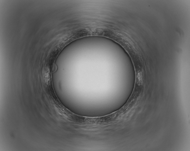 X0000111920963200908031201