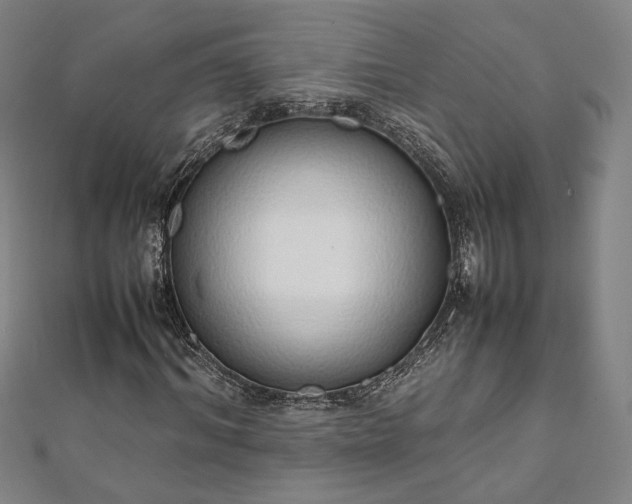 X0000111920964200908031201