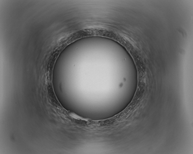 X0000111920965200908031201