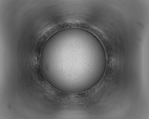 X0000111920966200908031201