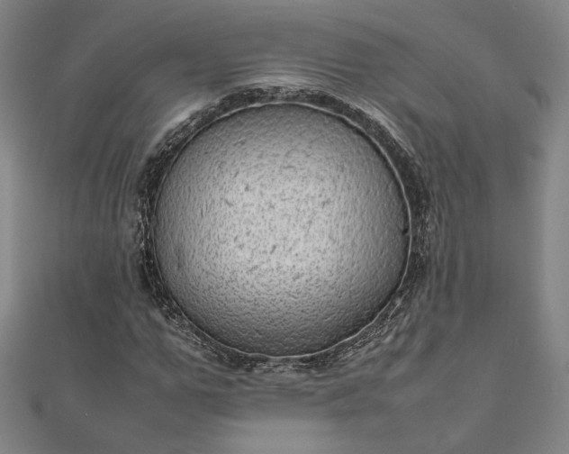 X0000111920967200908031201