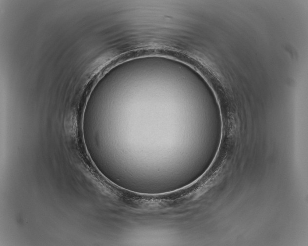 X0000111920969200908031201