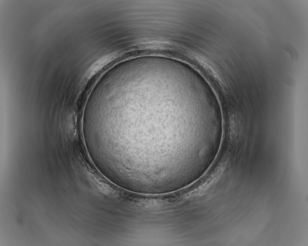 X0000111920970200908031201