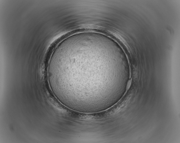 X0000111920971200908031201