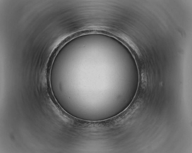 X0000111920972200908031201