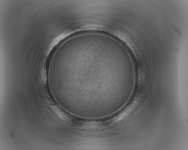 X0000111920973200908031201