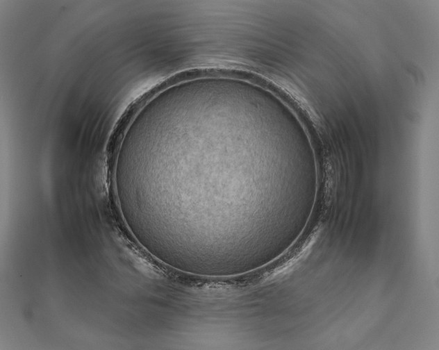 X0000111920974200908031201