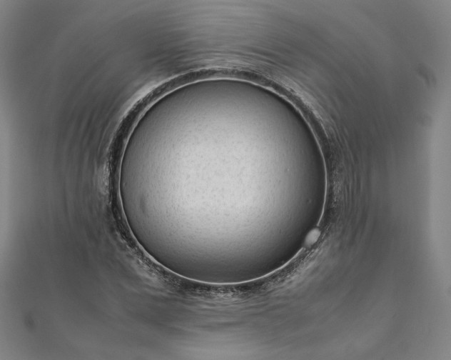 X0000111920975200908031201