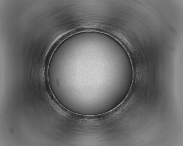 X0000111920976200908031201