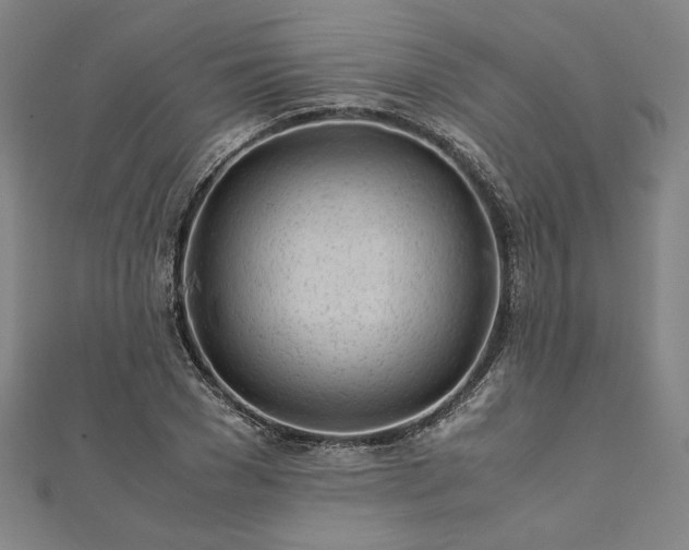 X0000111920977200908031201