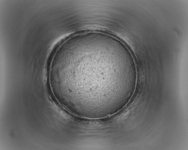 X0000111920979200908031201