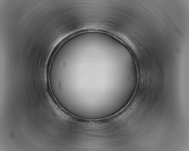 X0000111920980200908031201