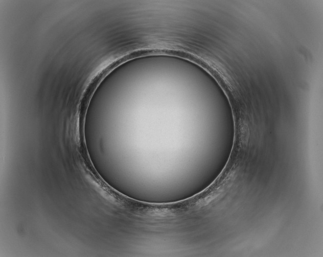 X0000111920982200908031201