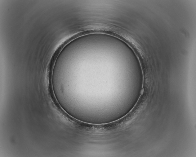 X0000111920983200908031201