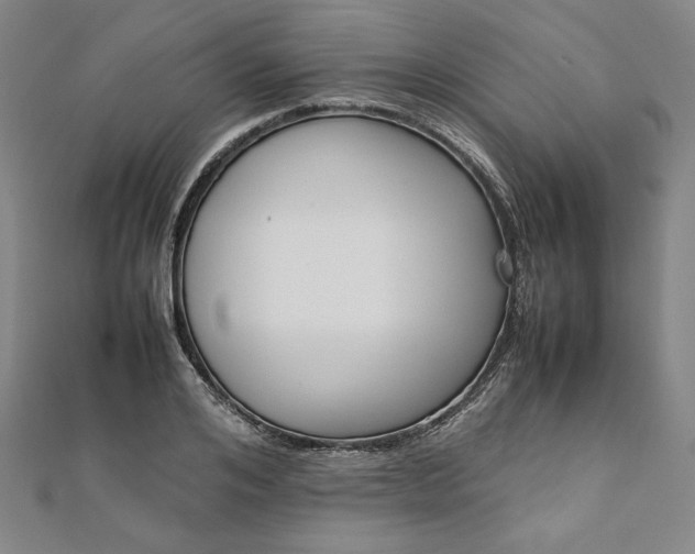 X0000111920984200908031201