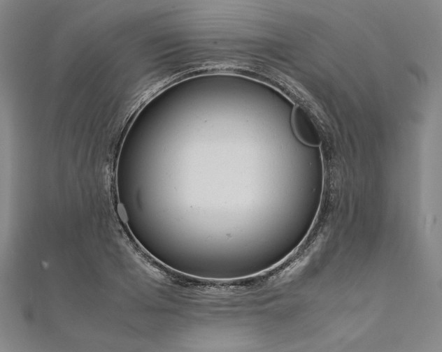 X0000111920985200908031201