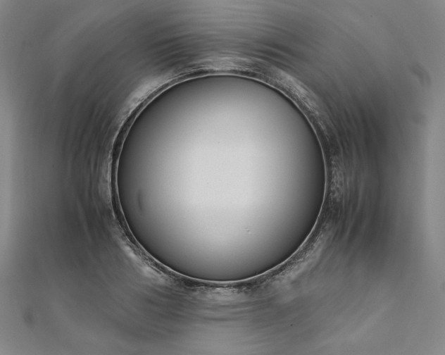 X0000111920986200908031201