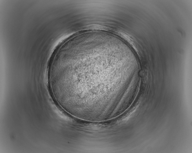 X0000111920987200908031201