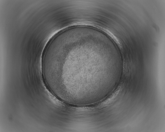 X0000111920988200908031201