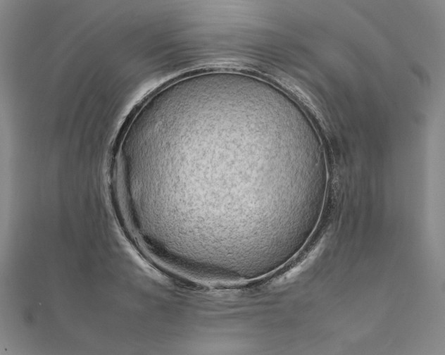 X0000111920989200908031201