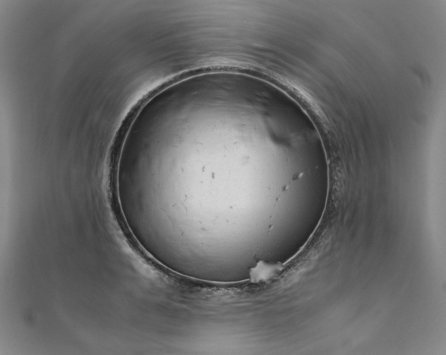 X0000111920991200908031201