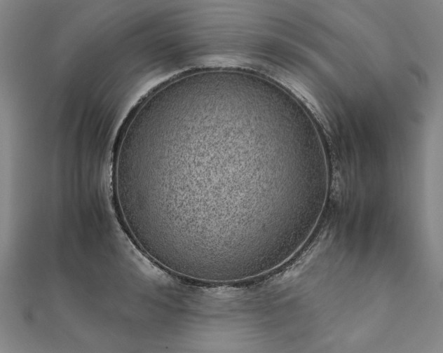 X0000111920992200908031201