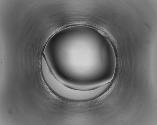 X0000111920993200908031201