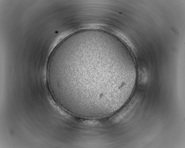 X0000111920994200908031201