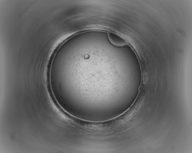 X0000111920995200908031201