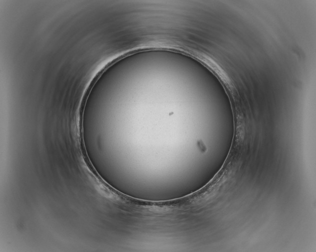 X0000111920996200908031201