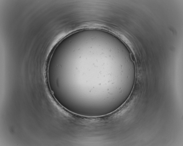 X0000111920997200908031201